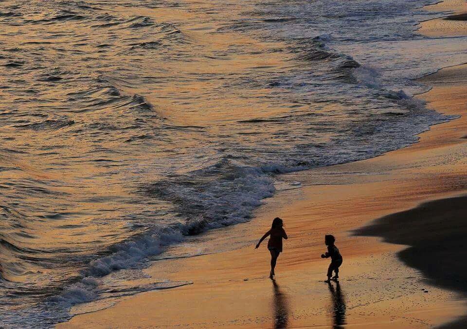 夕暮れの海岸の写真