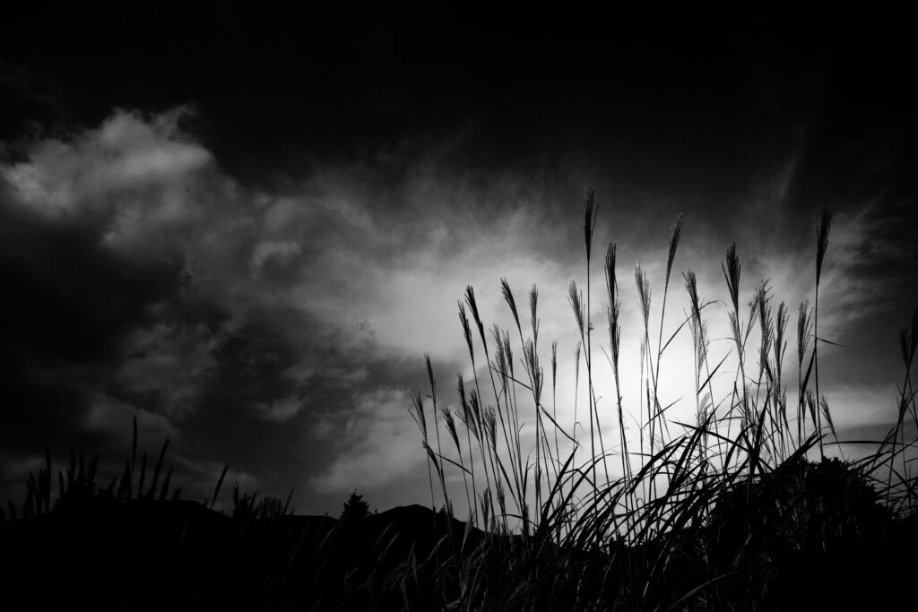 プリント向けの写真撮影テクニック