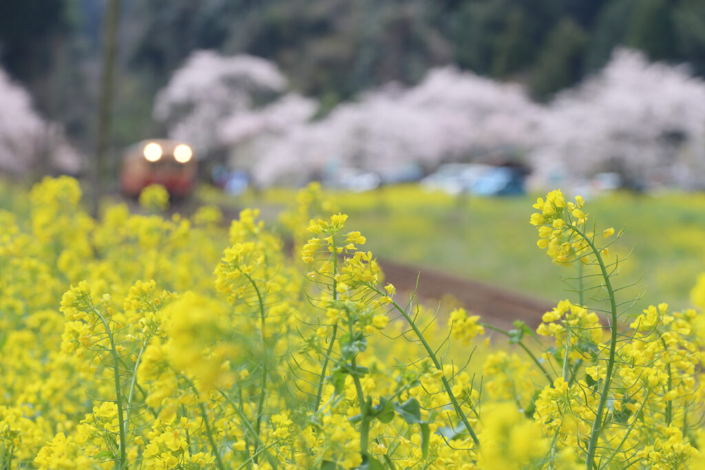 旅行・風景写真をプリントする楽しみ
