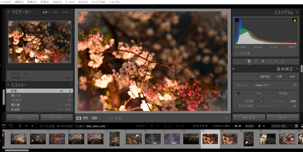 rightroom現像画面