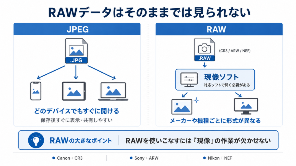 RAWデータはそのままでは見られない