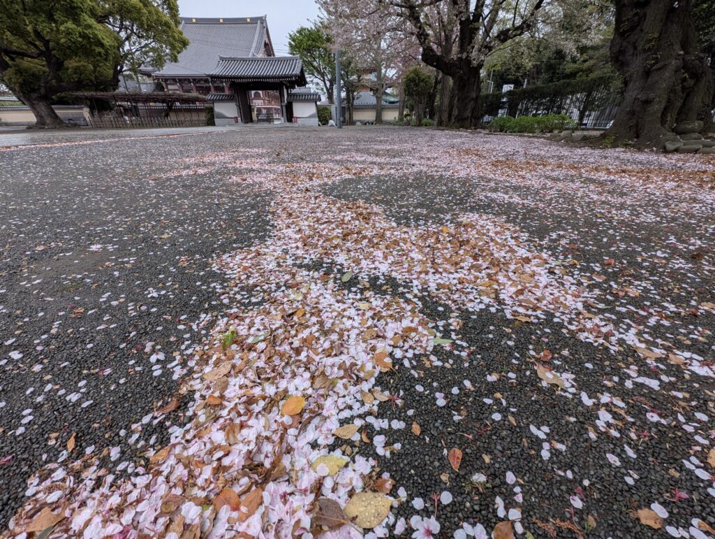 被写体との距離を変える